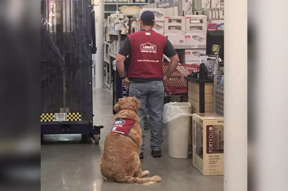 Lowe&#8217;s Hired Out-of-Work Veteran and His Service Dog