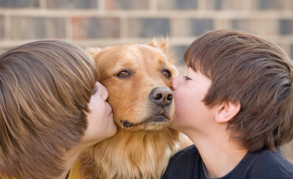 Kids Would Rather Spend Time With Pets Than Siblings