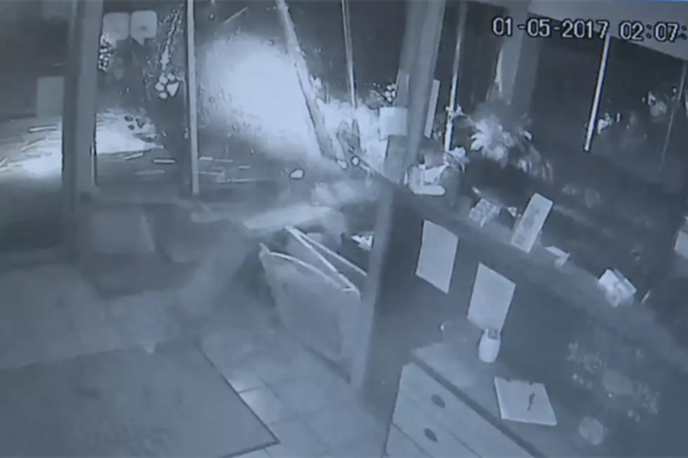 Surveillance Video Shows Car Crashing into Davenport&#8217;s Animal Playground [VIDEO]