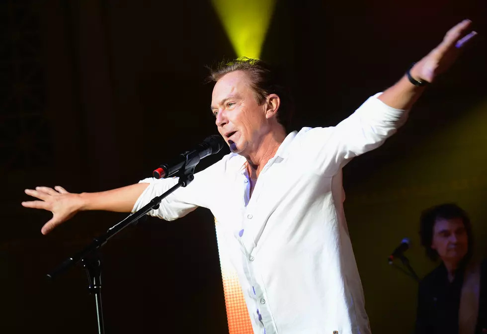 David Cassidy Slurs Through Show, Forgets Lyrics and Falls Over