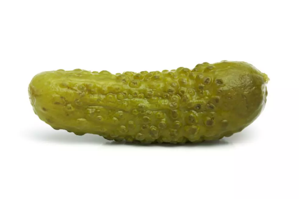 Man Busted For Striking Highway Worker with “Large Pickle”
