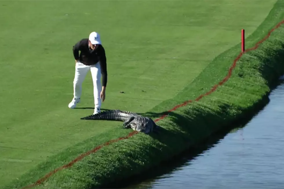 Fearless Golfer Shoos Alligator Into Water Hazard