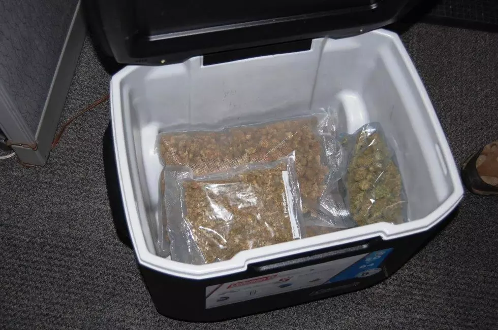 Washington Goodwill Receives Cooler Full of Pot as Donation