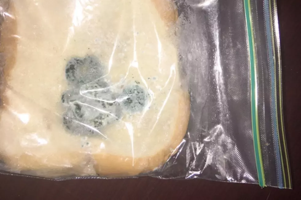 $30K Will Get You a Tuna Sandwich with Mickey Mouse Mold