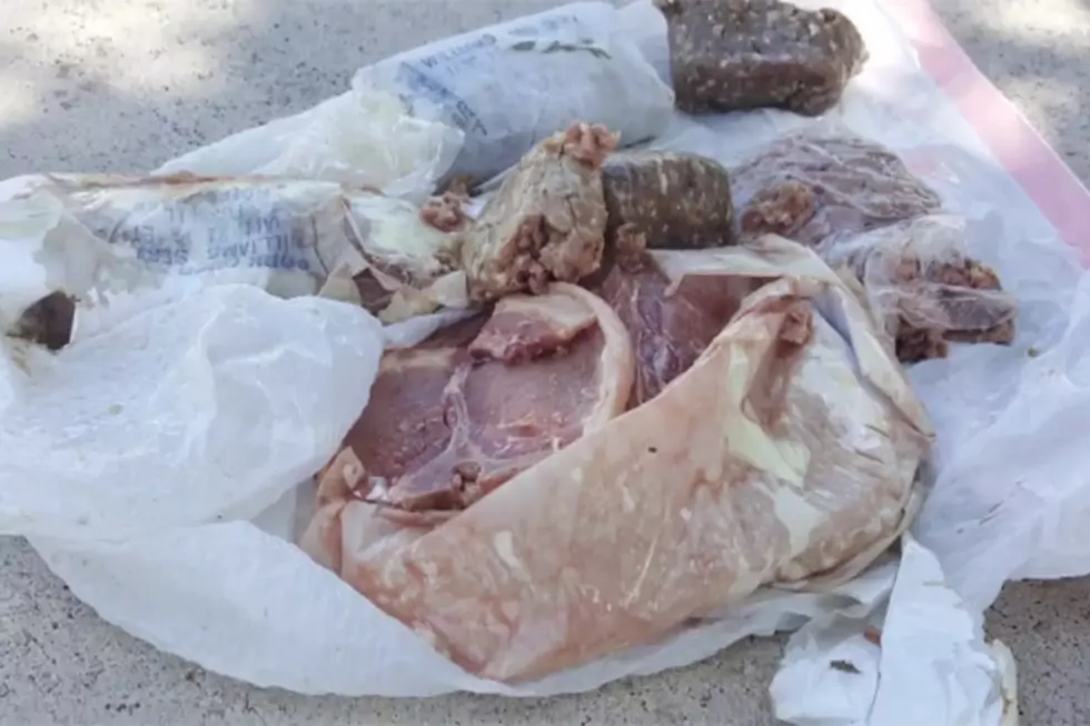 15 Pounds of Frozen Italian Sausage Crashes Onto Family&#8217;s Roof