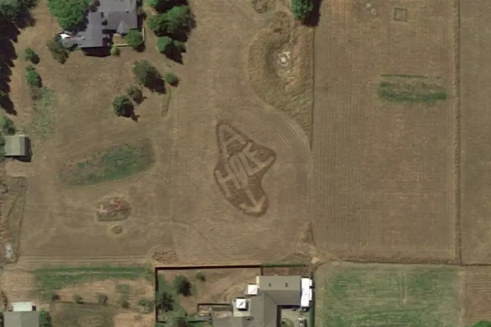 Upset Man Mows &#8220;A-Hole&#8221; in His Lawn with Arrow Pointing at Neighbor&#8217;s House
