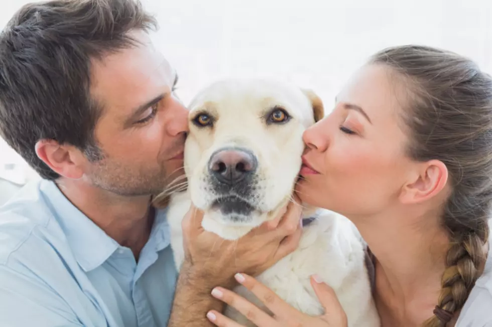Saying “I Love You” To Your Dog Makes Their Heart Race