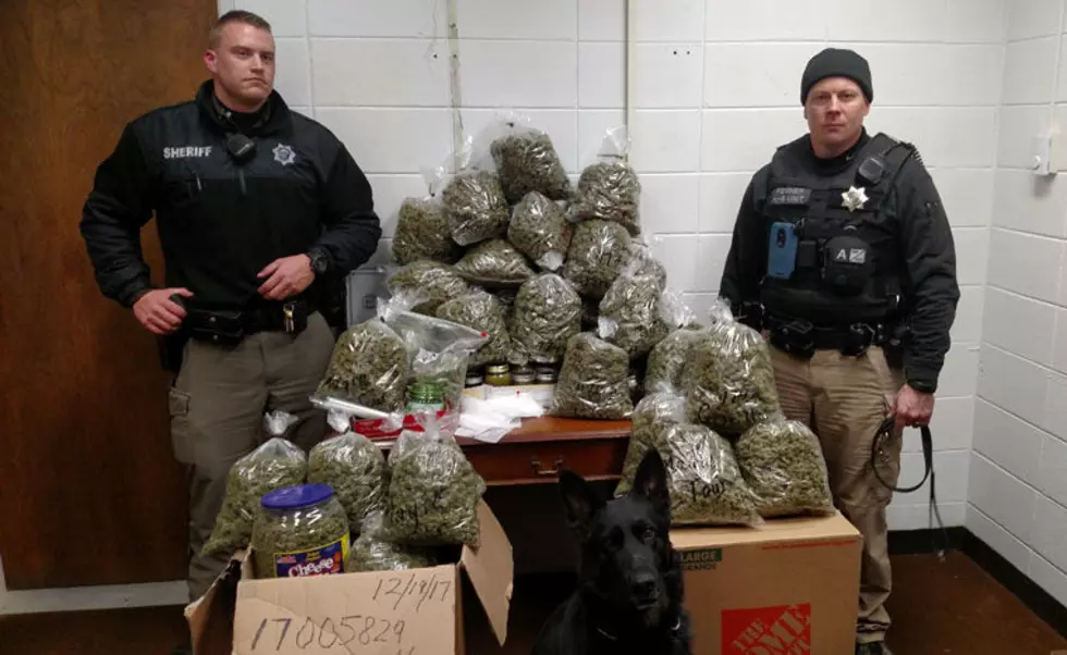 Elderly Couple Busted With 60 Pounds of Weed, Said It&#8217;s For Christmas Gifts