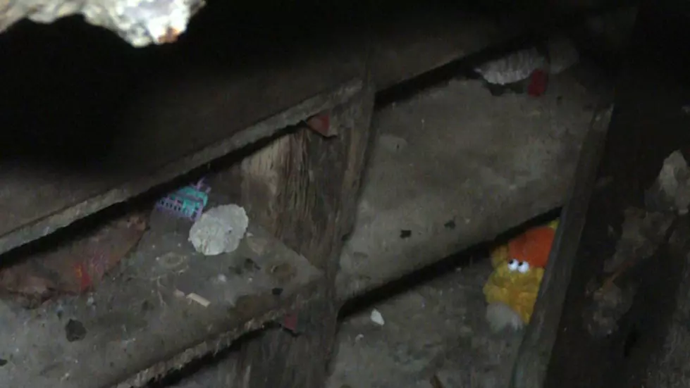Sinkhole Uncovers Secret Room Under Idaho Garage