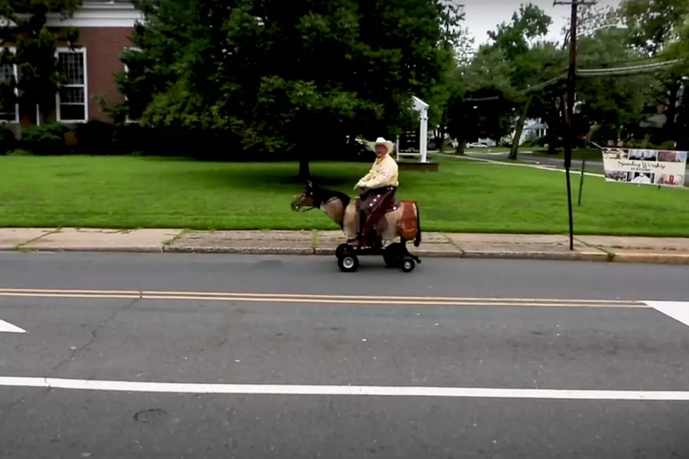 Cowboy Rides Motorized Horse Around New Jersey