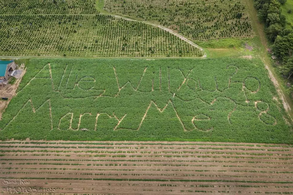 Farmer Uses Corn Maze to Pop The Question