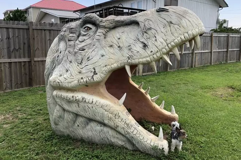 Here’s Your Chance to Own a Giant Fiberglass Dinosaur Head