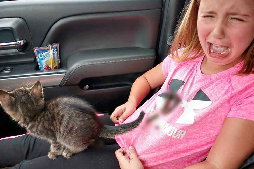 Little Girl Has Crappy Bonding Experience With New Kitten