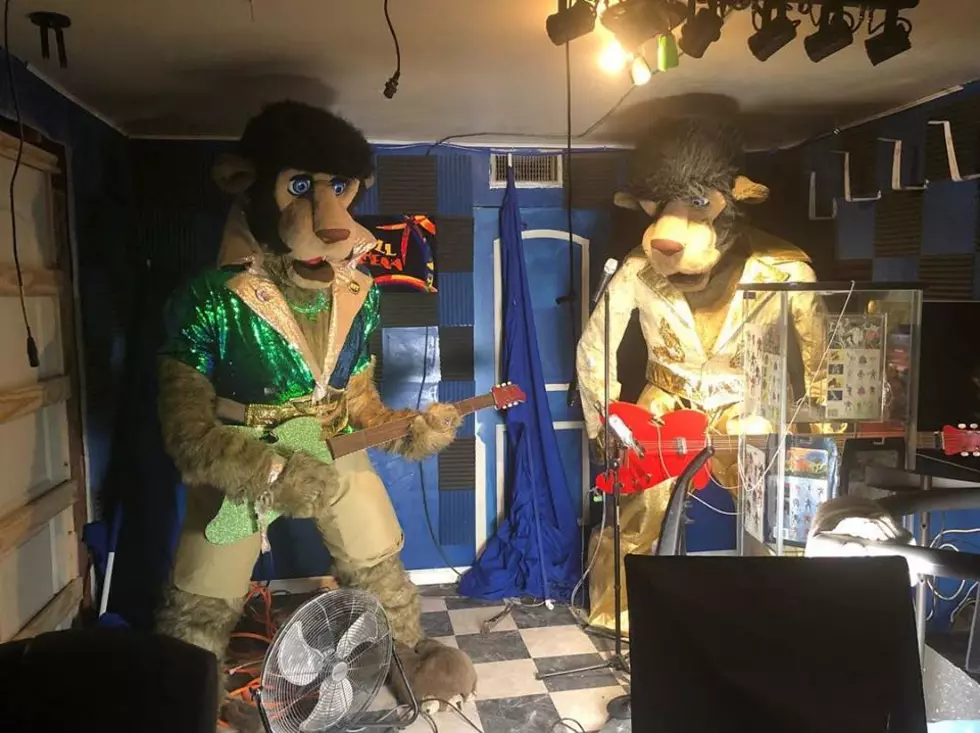 Man Has His Own Chuck E. Cheese Robot Band in His Bedroom