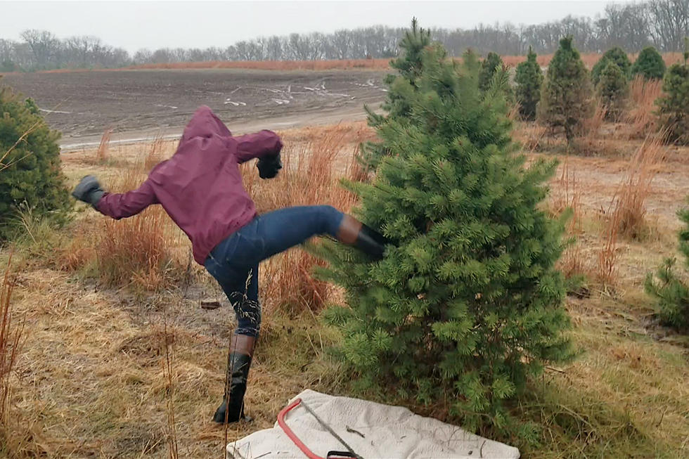 Alyssa Struggled to Cut Down a Tree