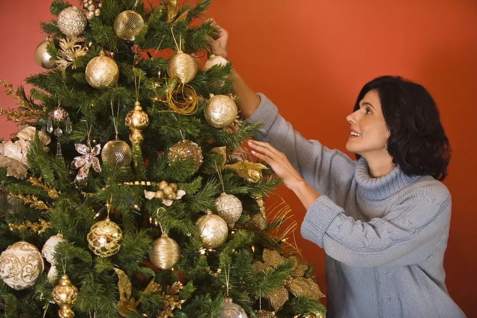 Florida Woman Attacks Boyfriend with Artificial Christmas Tree