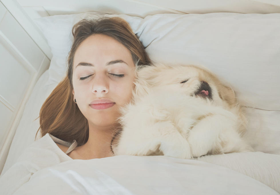 Women Sleep Better With a Dog Than a Person