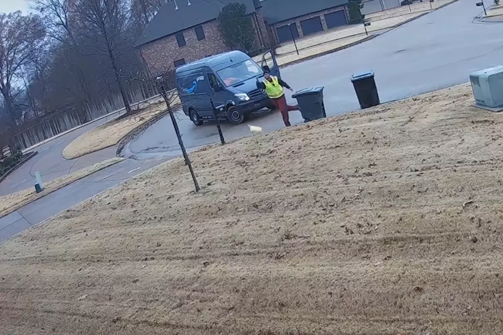 Amazon Delivery Driver Tosses Package Into Yard