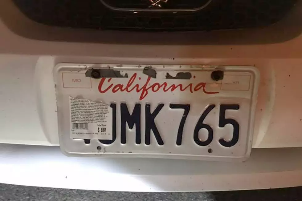Mustang Impounded After Driver Uses Chicken Receipt to Block License Plate