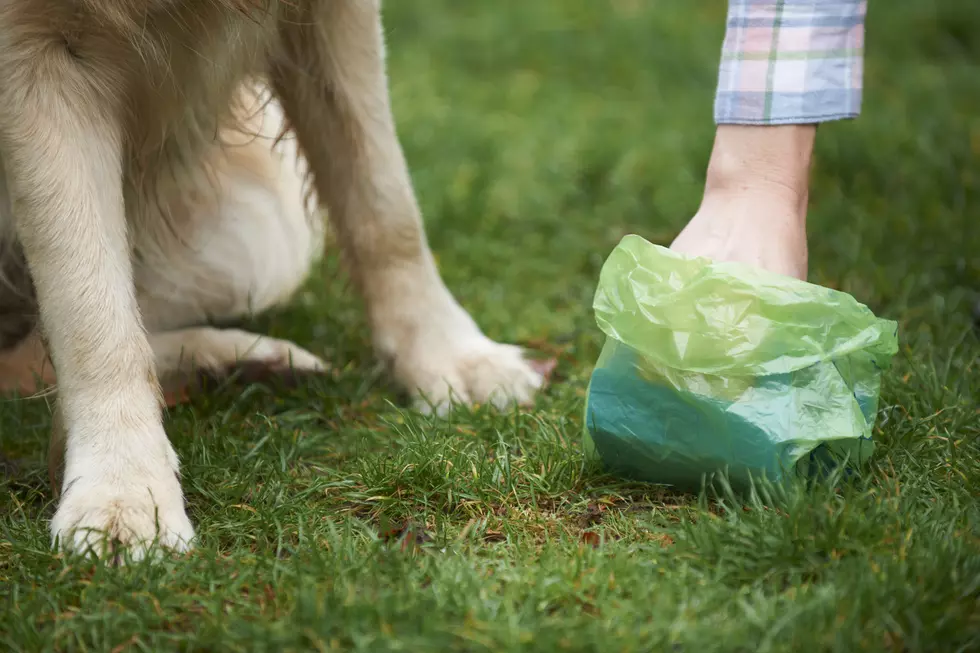 Putting Your Dog&#8217;s Poop in a Stranger&#8217;s Garbage Can: Okay or Not Okay?