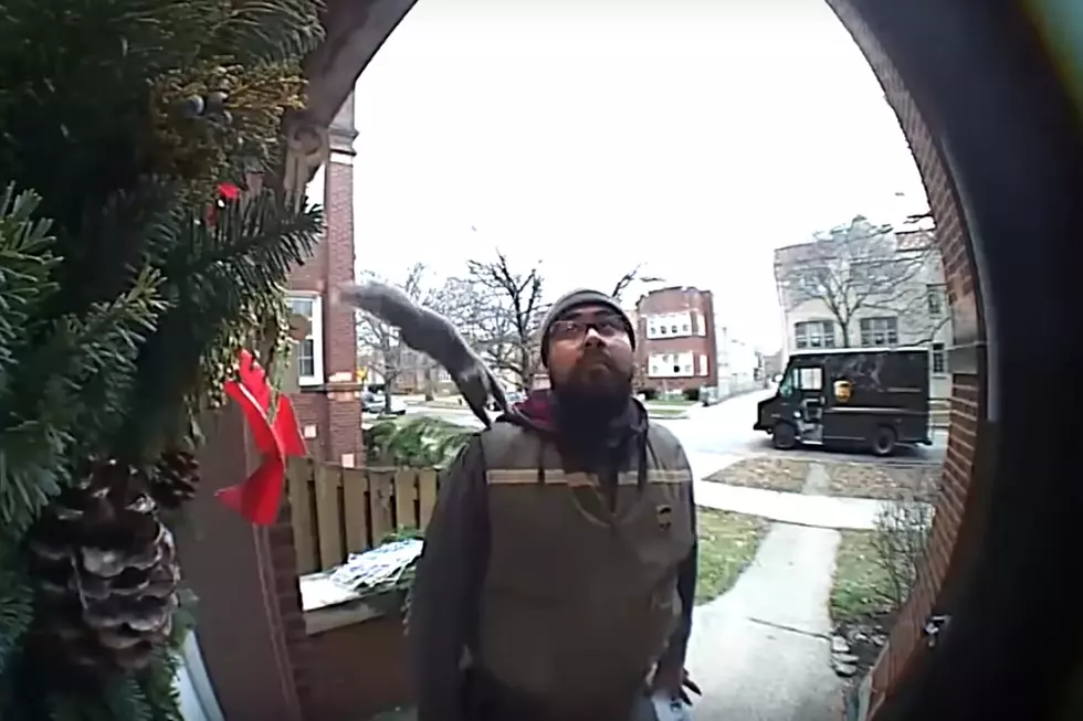 Squirrel Jumps on UPS Driver’s Shoulder Mid-Delivery