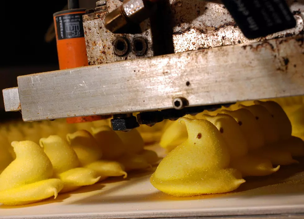 For The First Time Ever People Can Tour The Peeps Factory