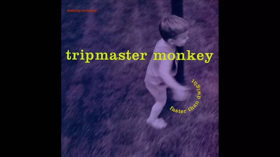 Tripmaster Monkey Reunites