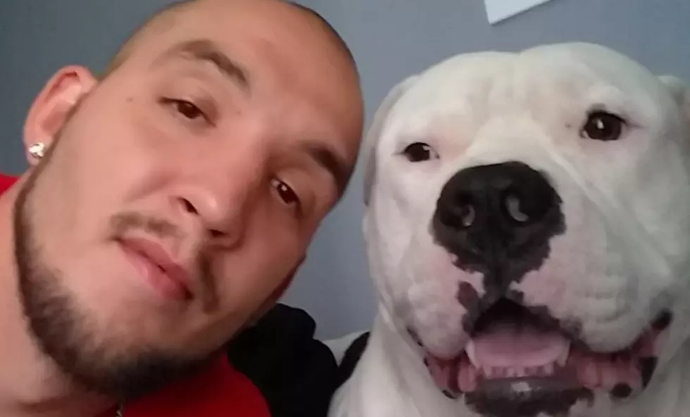 Man Tried to Sell His Car to Save His Dog&#8217;s Life, Then The Community Rallied