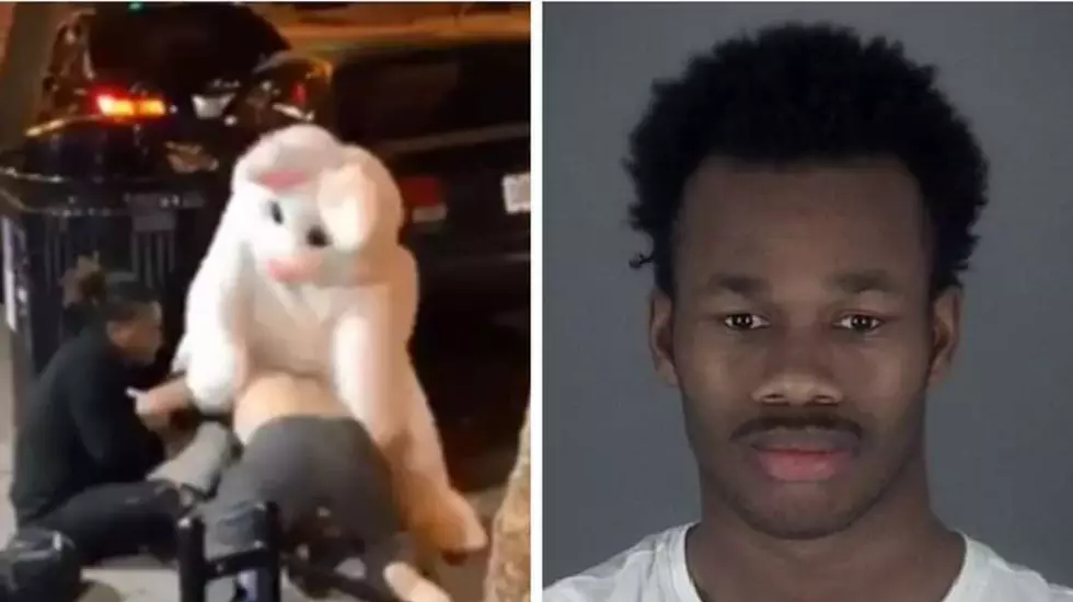 Easter Bunny Who Got in a Fight in Florida Turned Out to be a Fugitive