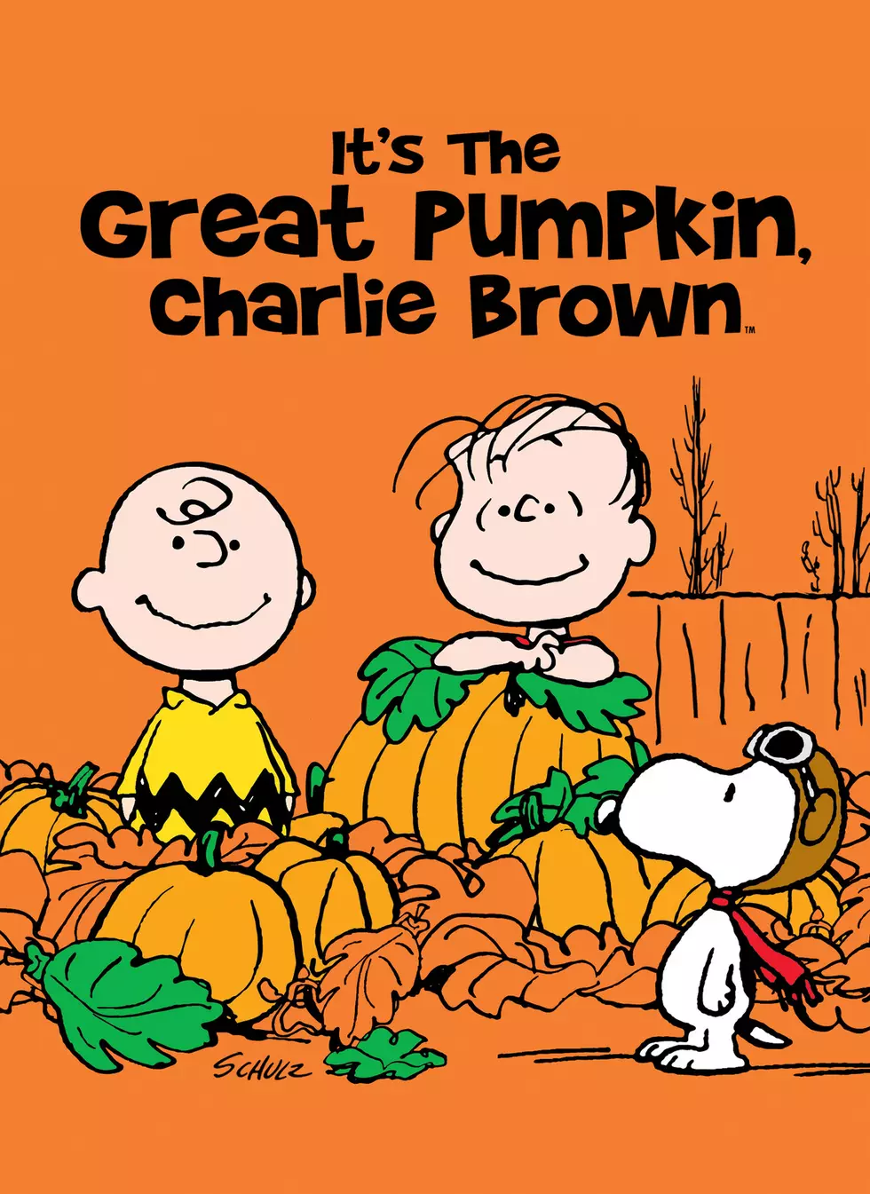 Things You Didn&#8217;t Know About It&#8217;s The Great Pumpkin Charlie Brown