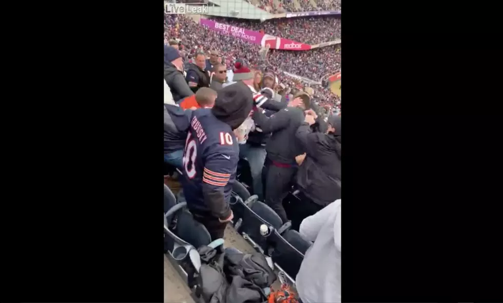 Bears Fans Fight in Stands