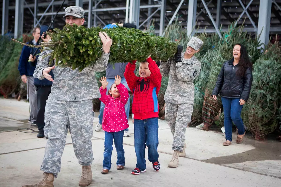 Team of 9 Delivers 16,000 Christmas Trees to Military Families