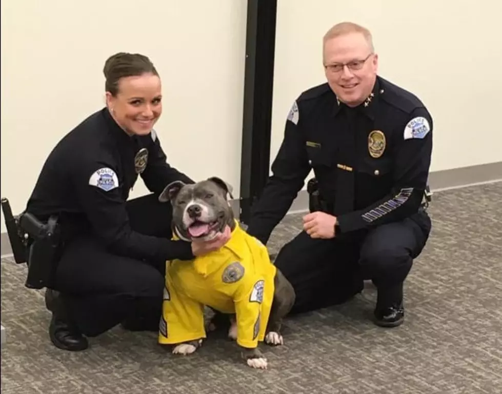 Police Help Fulfill Terminally Ill Rescue Dog&#8217;s Bucket List, Becomes K-9 For A Day