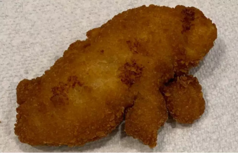 Florida Woman Selling Manatee Shaped Chicken Tender