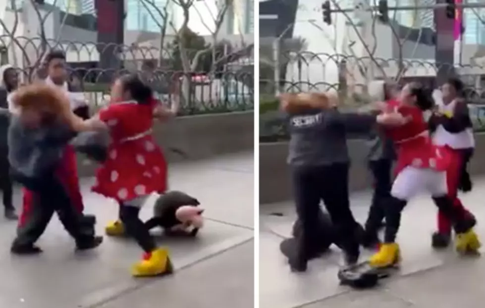 Minnie Mouse Beats Down Security Guard