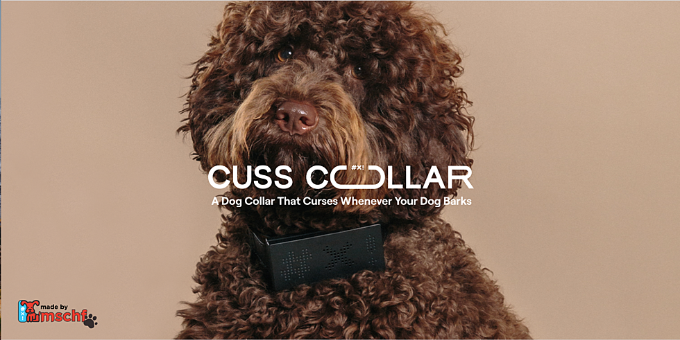 New Dog Collar Translates Your Dogs Barks Into Curse Words