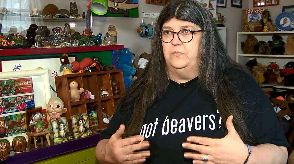 Woman Seeking Guinness World Record For Largest Beaver Collection