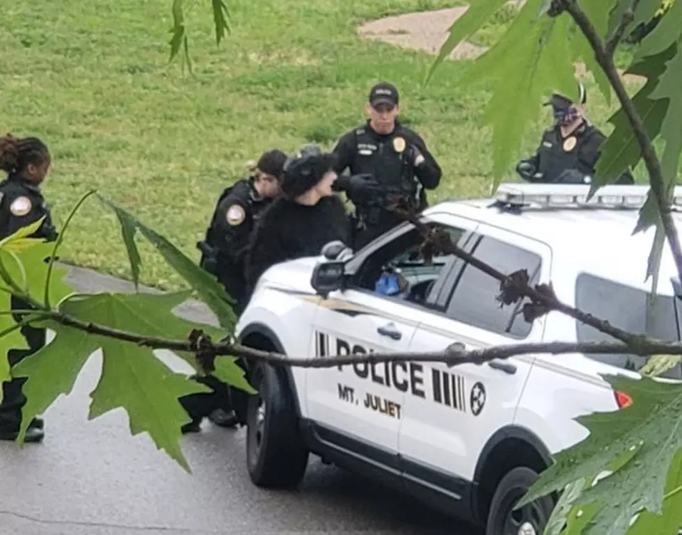 Man Arrested Wearing Gorilla Costume, Breaking Into Home