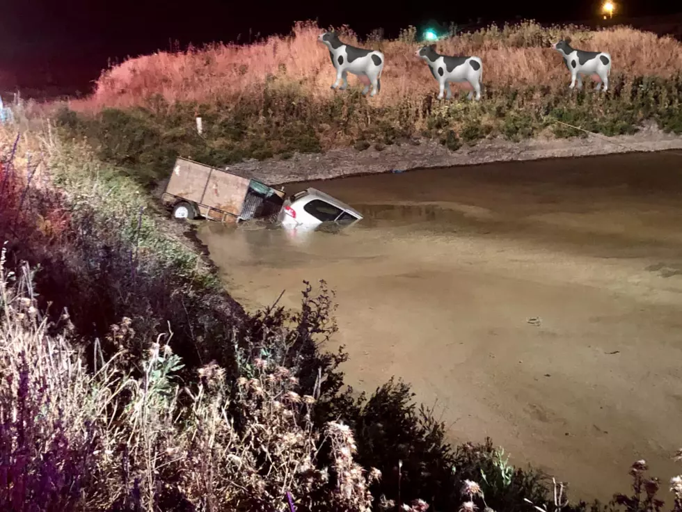 DUI Driver Crashes Car Into Manure Pond