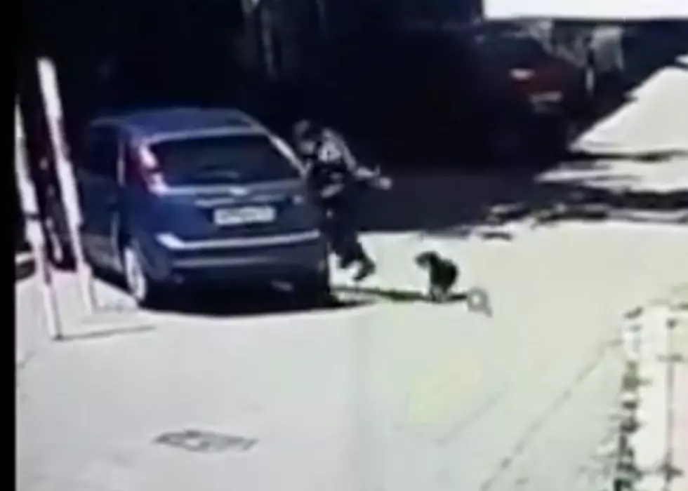 Man Trying to Outrun Small Dog Doesn&#8217;t See Parked Car