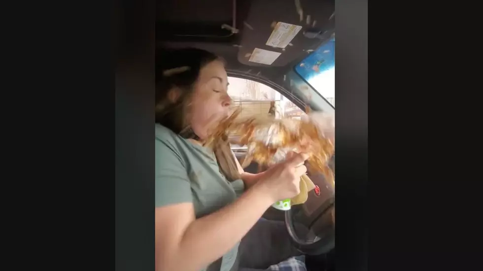 Brother And Sister Wear Shock Collar Through Drive Thru