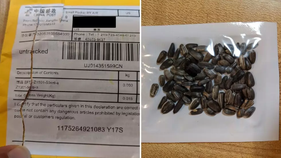 Iowa Warns of Suspicious Seeds From China Appearing in Mail