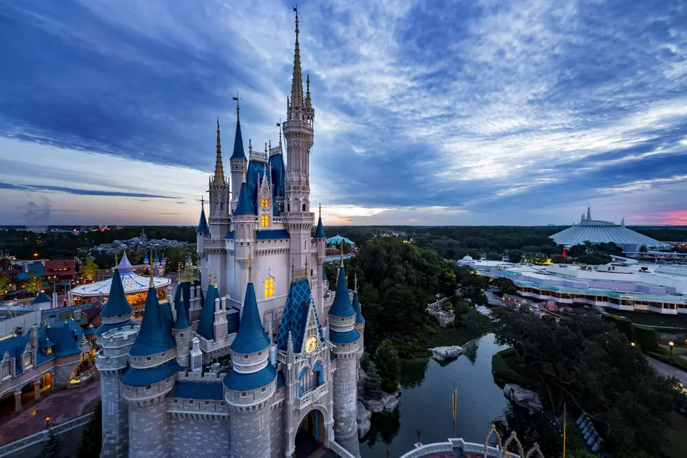 Disney Guests Take Off Clothes, Brawl, Slip On Vomit