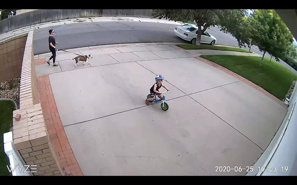 Guy Catches Neighbor Kid Riding Bike in His Driveway, Does The Unthinkable