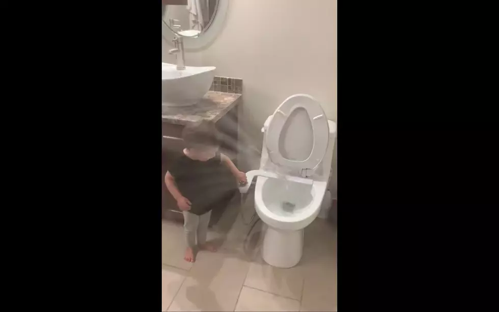 Toddler Shows Dad How Bidet Works