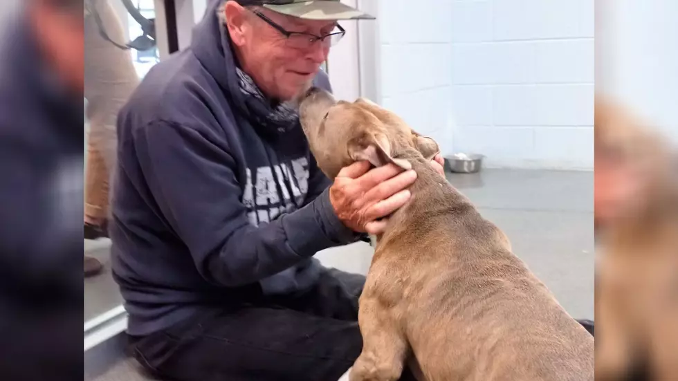 Man Drives 1,200 Miles to Reunite with Missing Dog