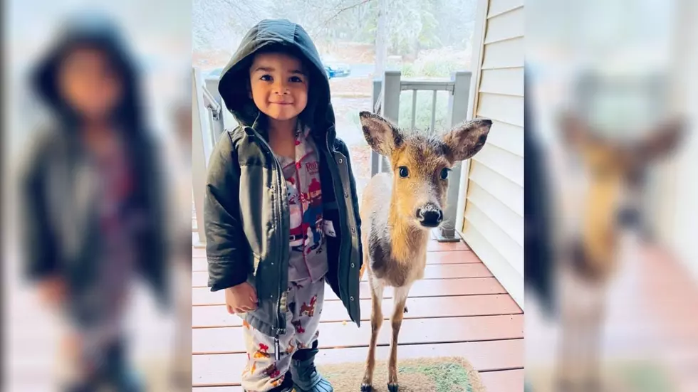 4-Year-Old Invites New Friend in For Breakfast And It’s A Deer