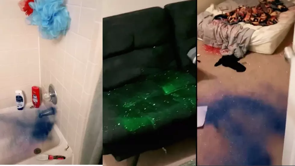Woman Gets Revenge on Her Cheating Boyfriend by Dumping Glitter Bombing His Apartment