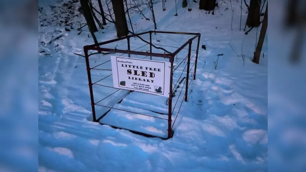 Woman Builds Little Free Sled Library at Town Sledding Hill