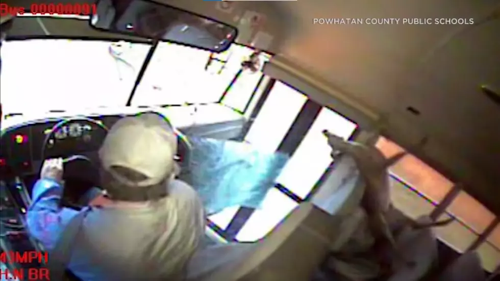 WATCH: Deer Flies Through School Bus Window, Hits Student
